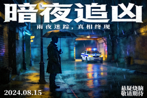 犯罪推理剧《暗夜追凶》海报 - 雨夜街道与侦探身影